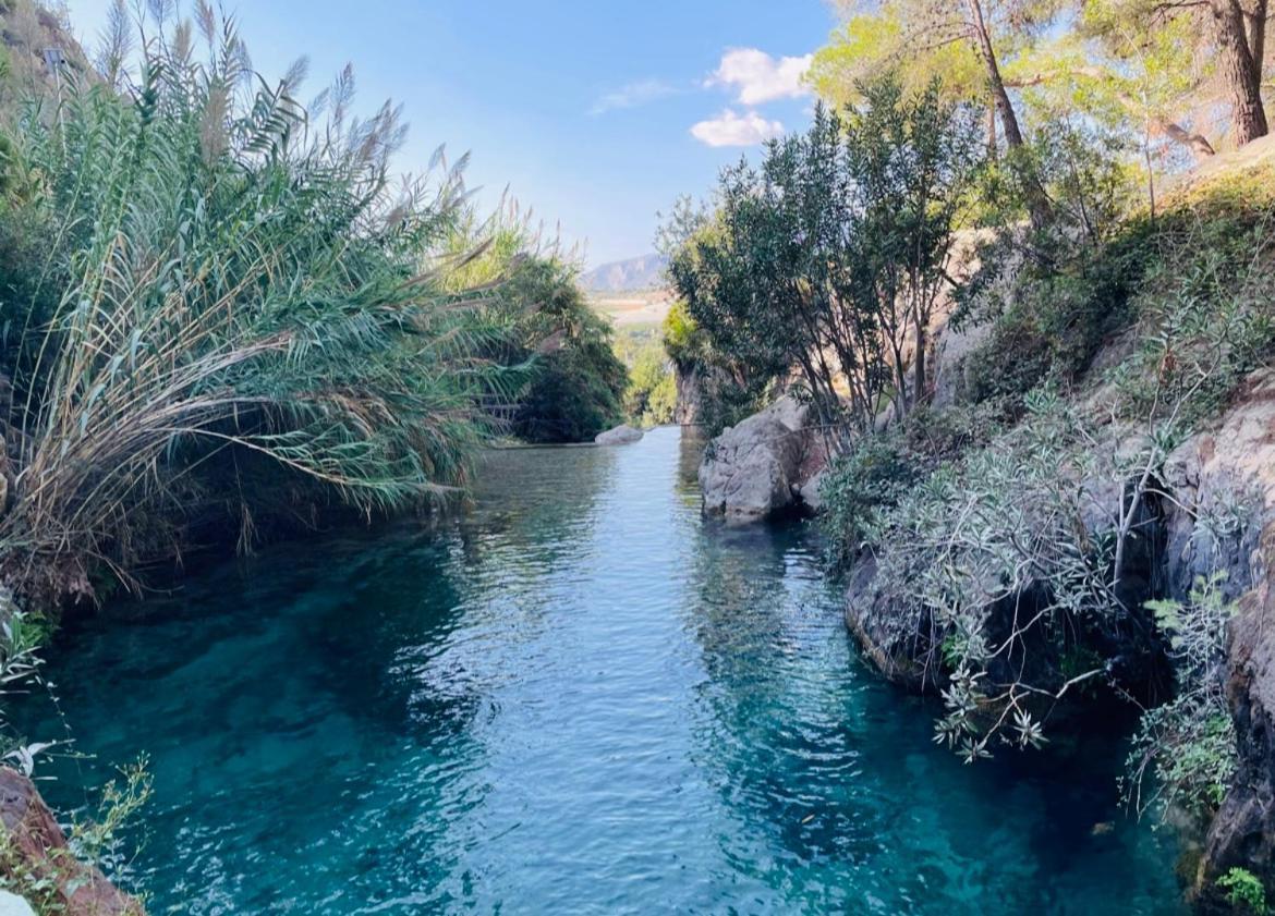 La Margarita Daire Torrevieja Dış mekan fotoğraf